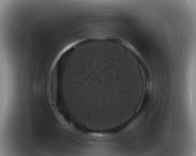 X0000086030724200703301053