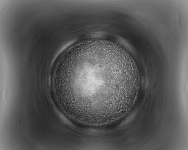 X0000086030725200703301053