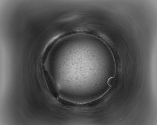 X0000086030727200703301053