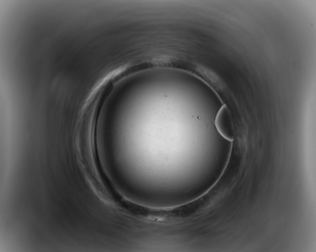 X0000086030728200703301053