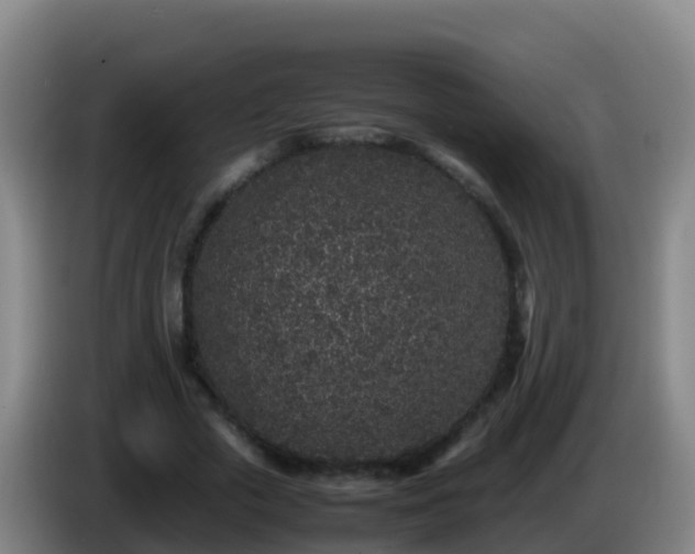 X0000086030729200703301053