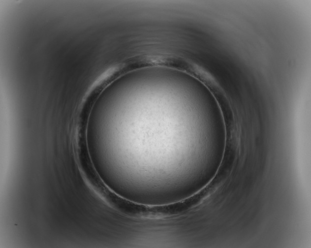 X0000086030730200703301053