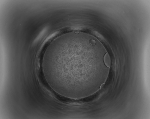 X0000086030731200703301053