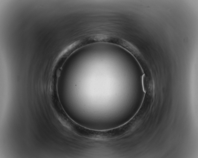 X0000086030732200703301053