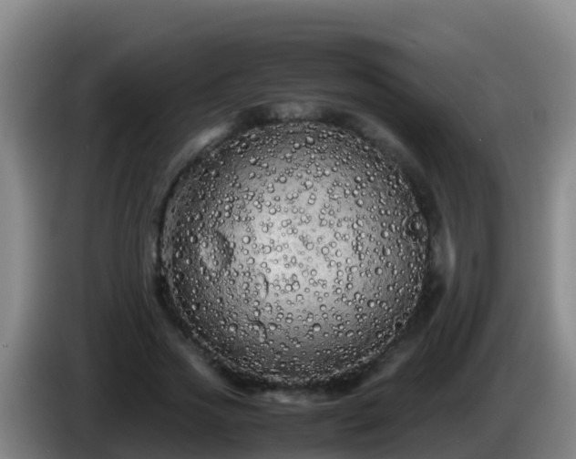 X0000086030733200703301053