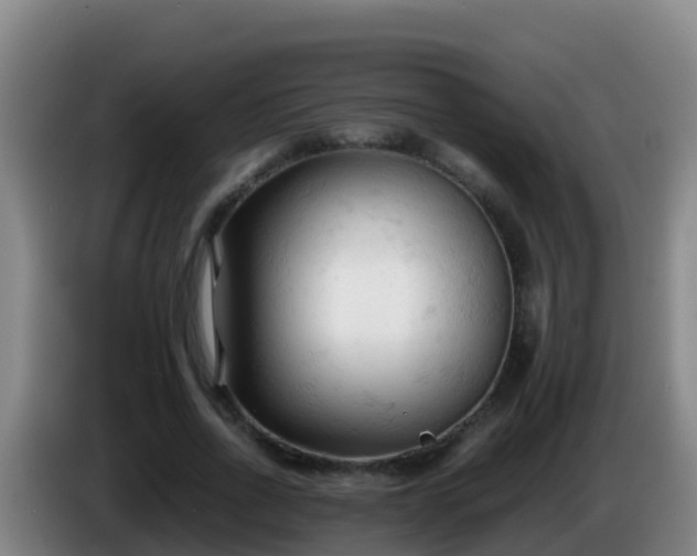 X0000086030734200703301053