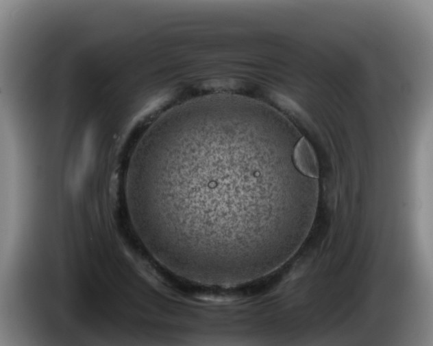 X0000086030735200703301053