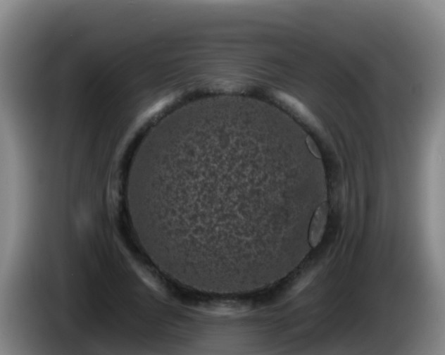 X0000086030736200703301053