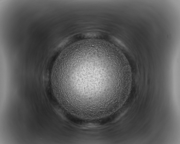 X0000086030737200703301053