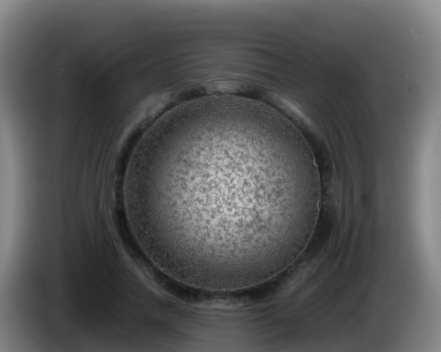 X0000086030738200703301053