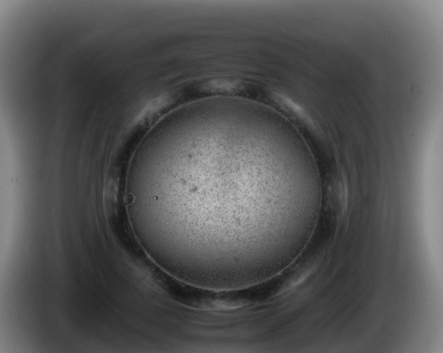 X0000086030739200703301053