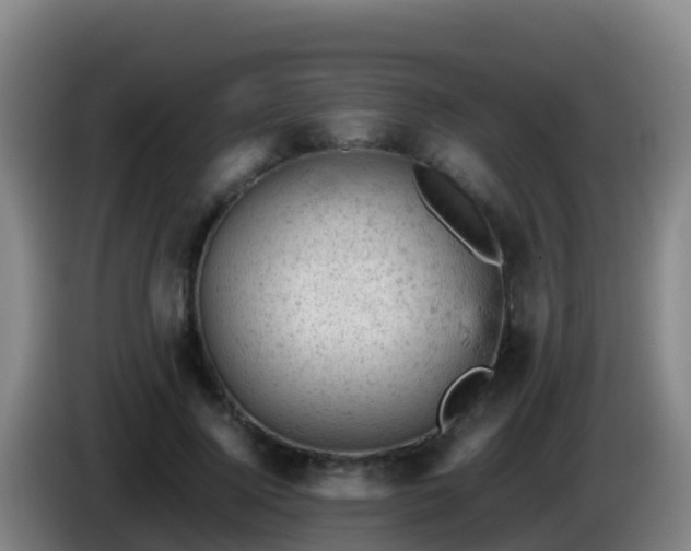 X0000086030740200703301053