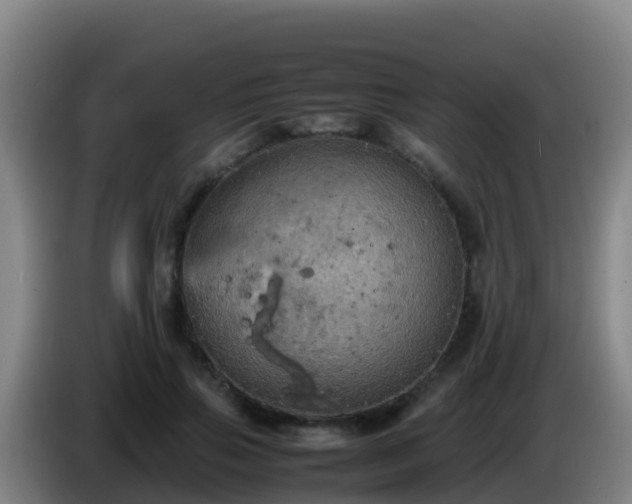 X0000086030741200703301053