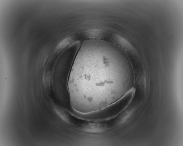 X0000086030744200703301053