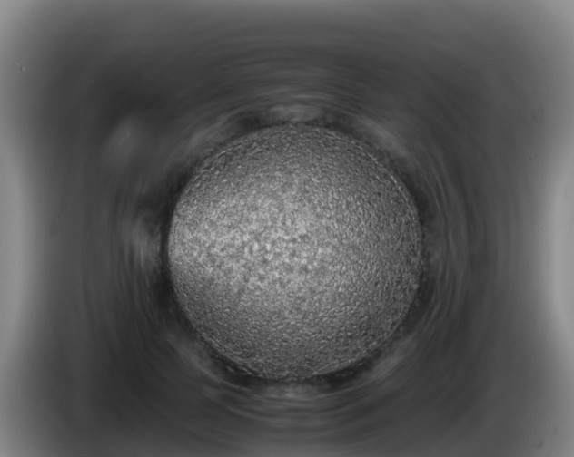 X0000086030745200703301054