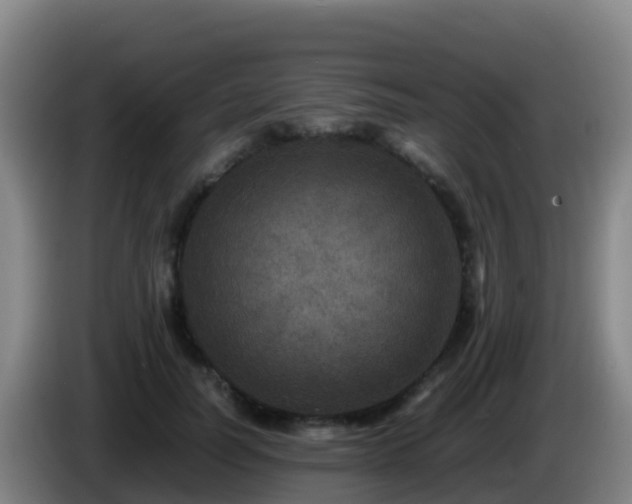 X0000086030746200703301054