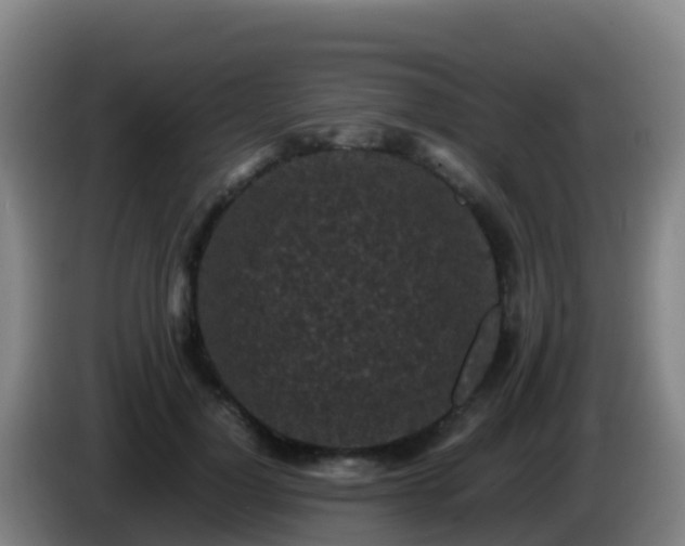 X0000086030748200703301054