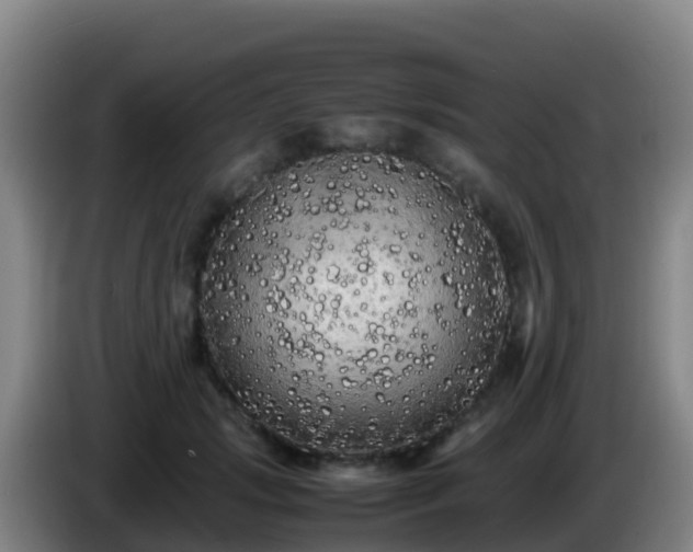 X0000086030749200703301054