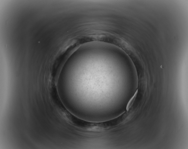 X0000086030750200703301054