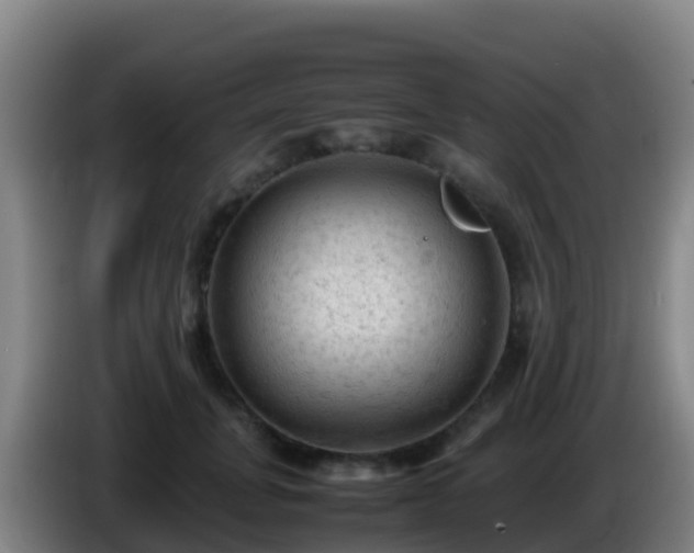 X0000086030751200703301054