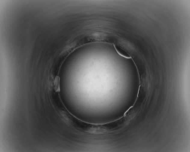 X0000086030752200703301054