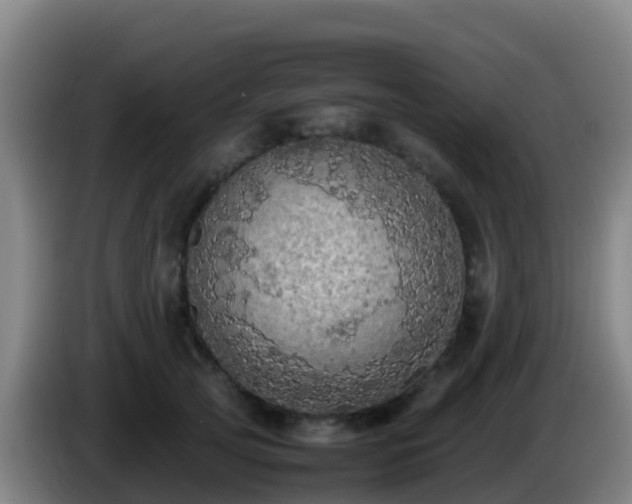 X0000086030753200703301054