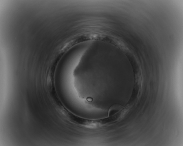 X0000086030754200703301054