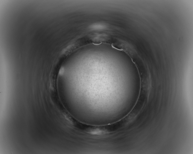 X0000086030755200703301054