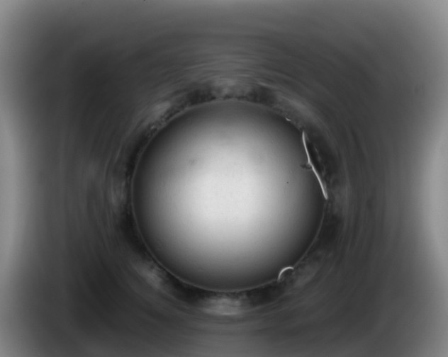 X0000086030756200703301054