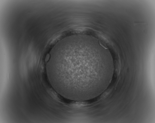 X0000086030758200703301054