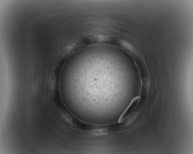 X0000086030760200703301054