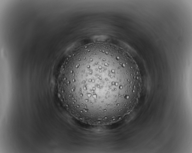 X0000086030761200703301054