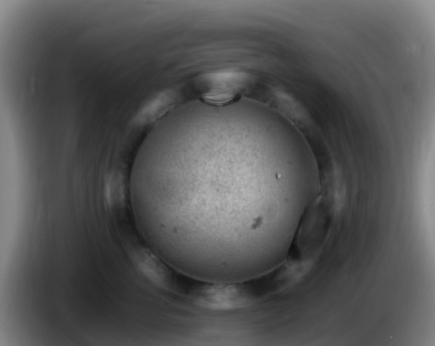 X0000086030762200703301054