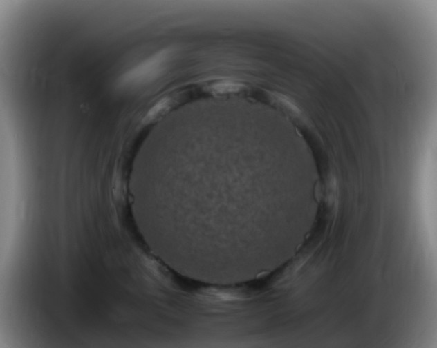 X0000086030763200703301054