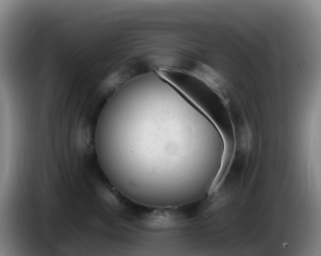 X0000086030764200703301054