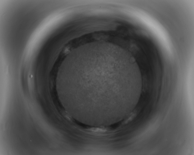 X0000086030765200703301054