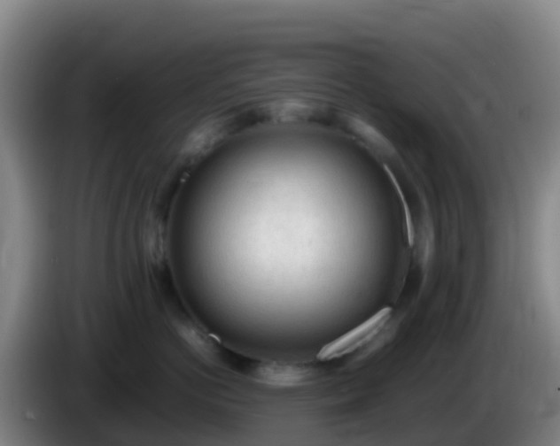 X0000086030766200703301054