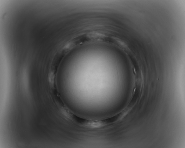 X0000086030767200703301054