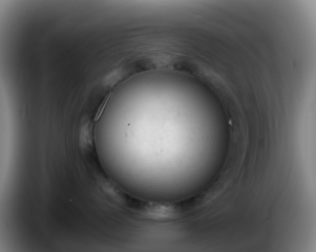 X0000086030768200703301054