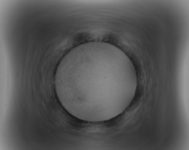 X0000086030769200703301053