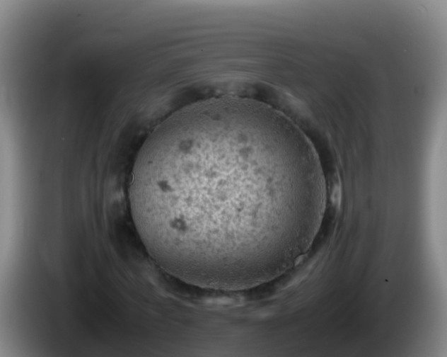 X0000086030771200703301053