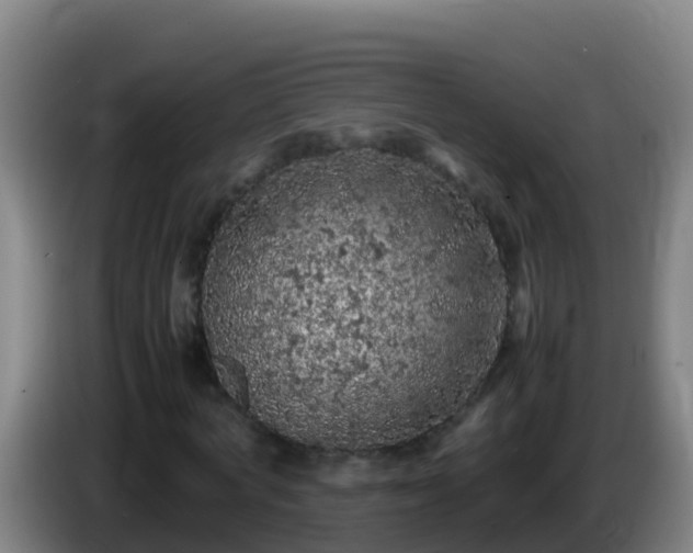 X0000086030772200703301053