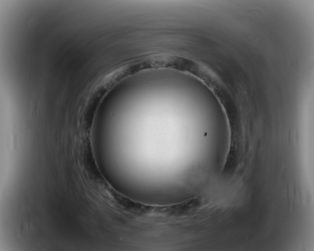 X0000086030773200703301053