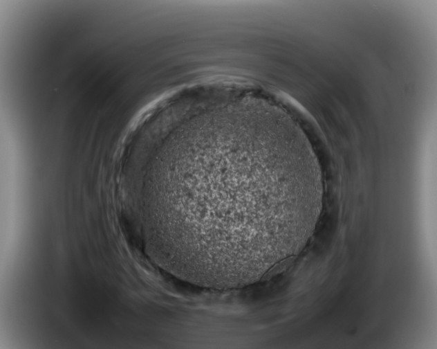 X0000086030775200703301053