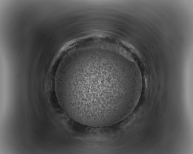 X0000086030776200703301053