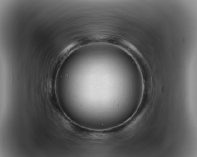 X0000086030777200703301053