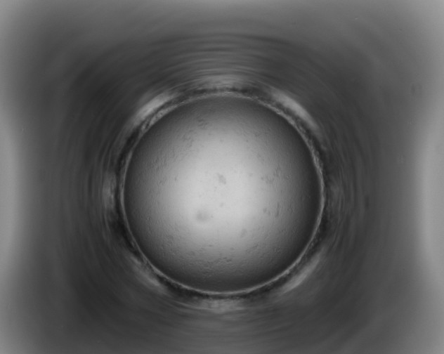 X0000086030778200703301053