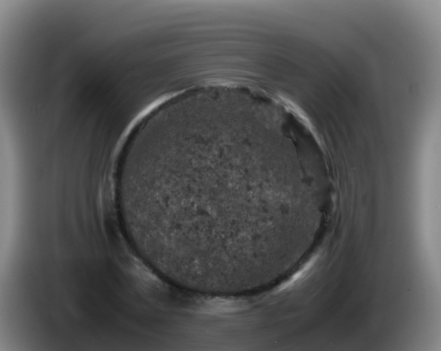 X0000086030779200703301053