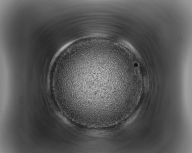 X0000086030780200703301053