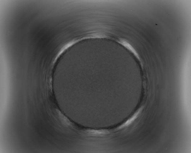 X0000086030781200703301053